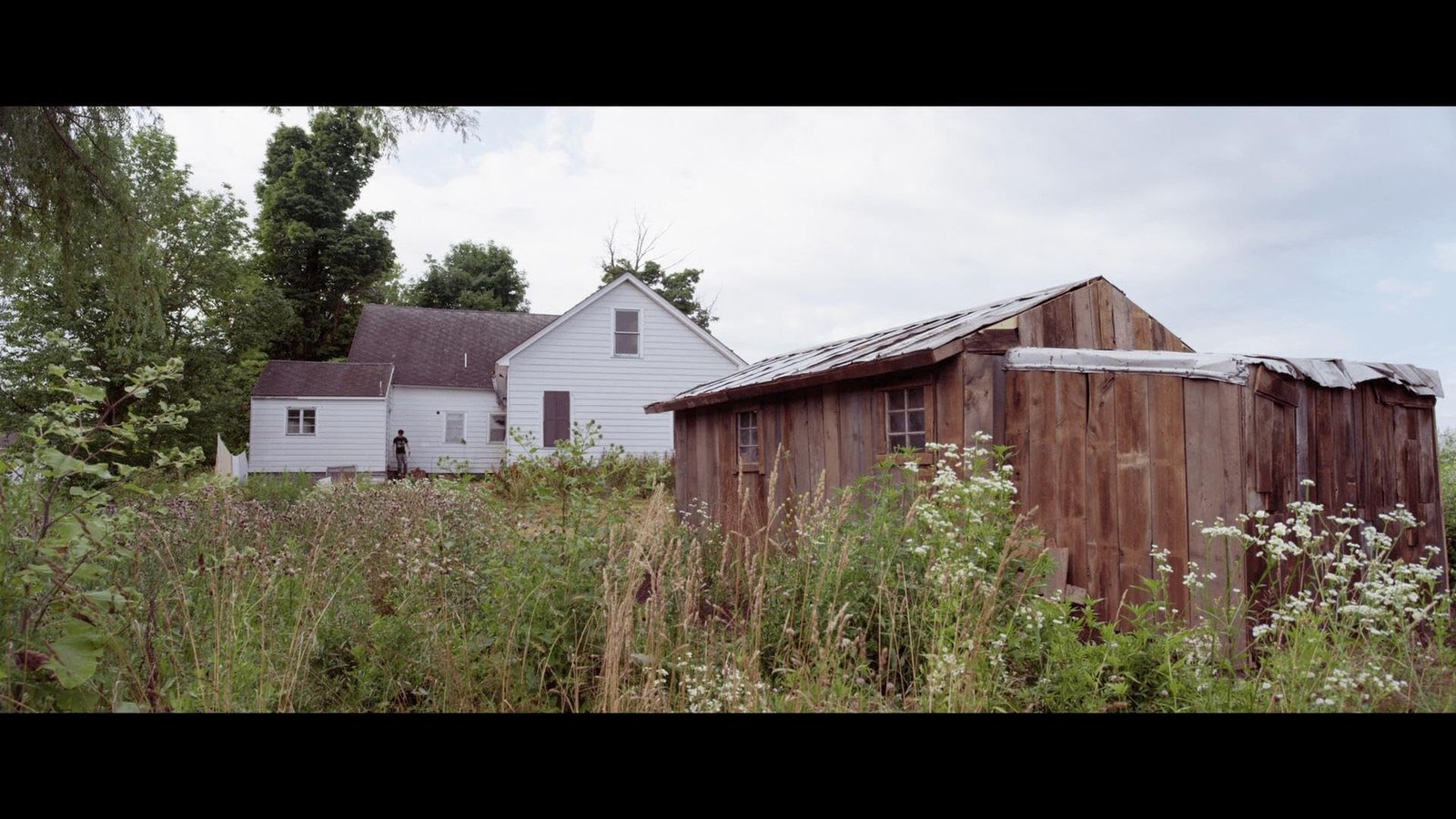 The Shed